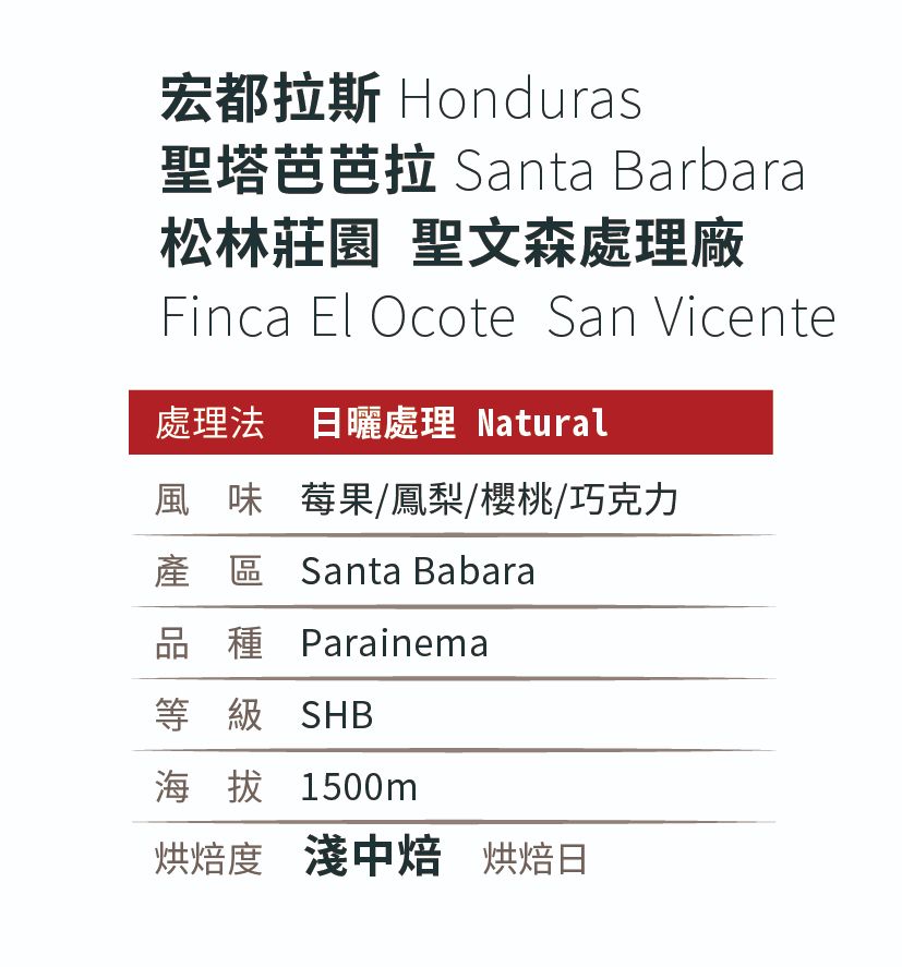 [淺中焙]＿宏都拉斯_聖塔巴巴拉_松林莊園_日曬處理