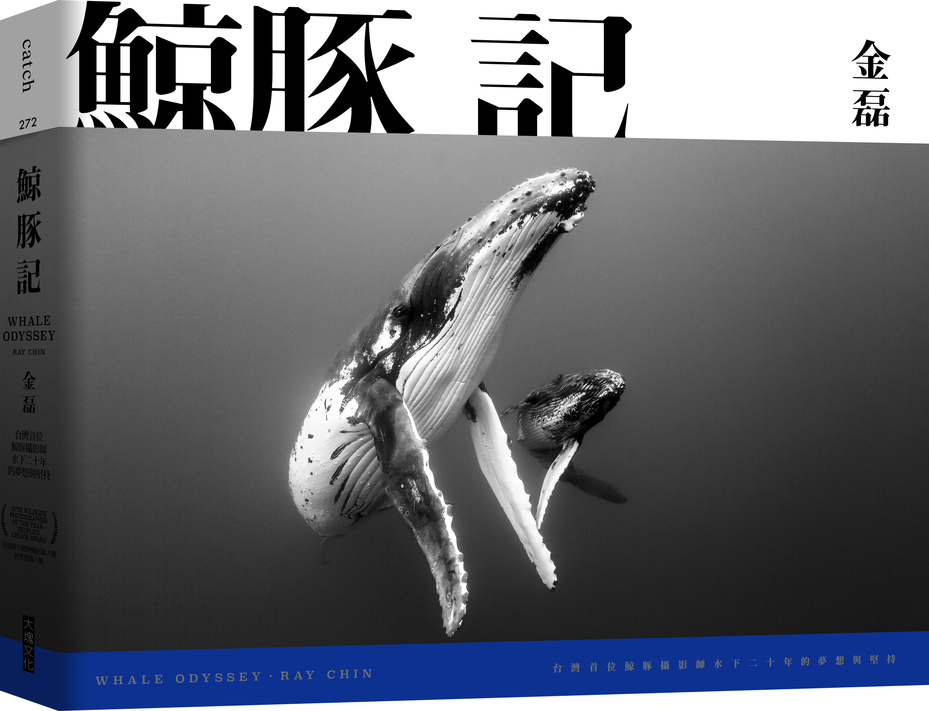 鯨豚記：台灣首位鯨豚攝影師水下20年的夢想與堅持
