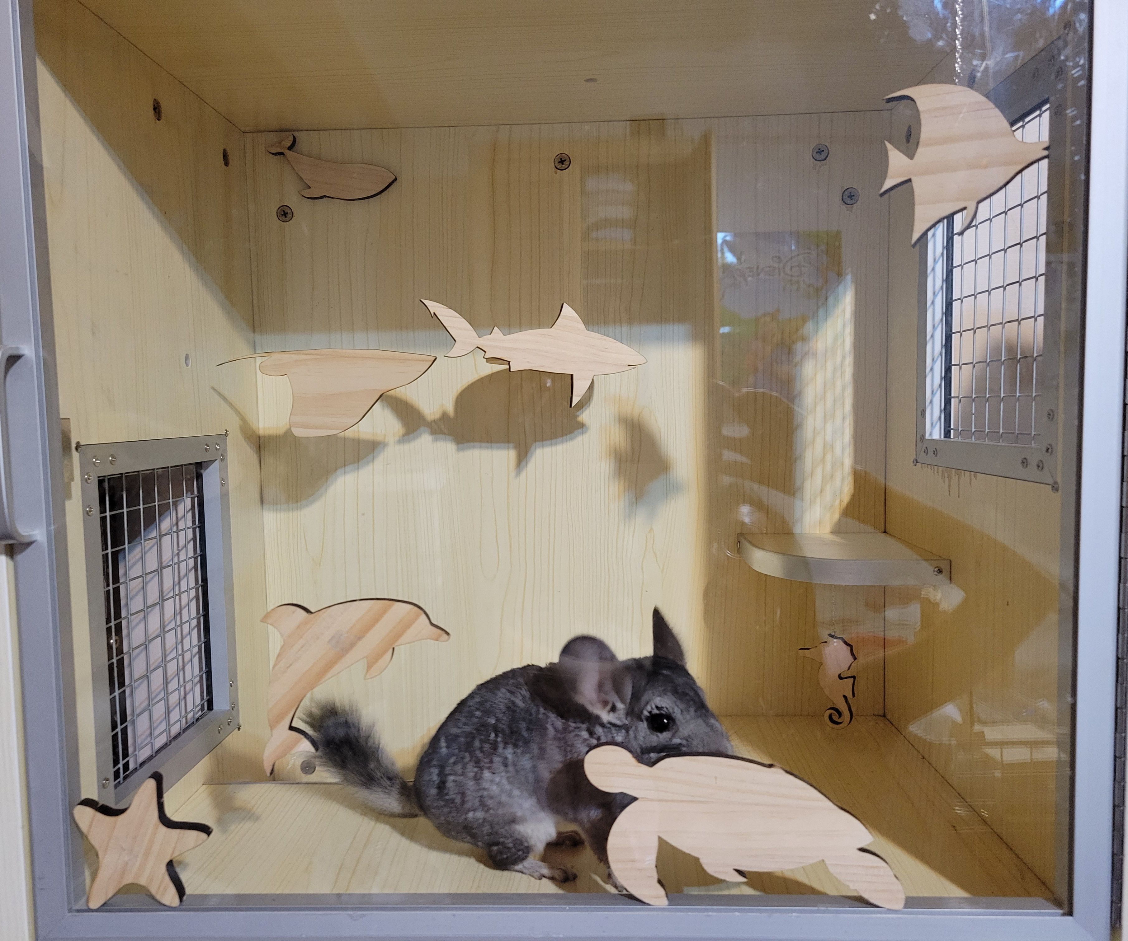 現貨☆造型木窩、木跳板、啃木-海洋生物系列