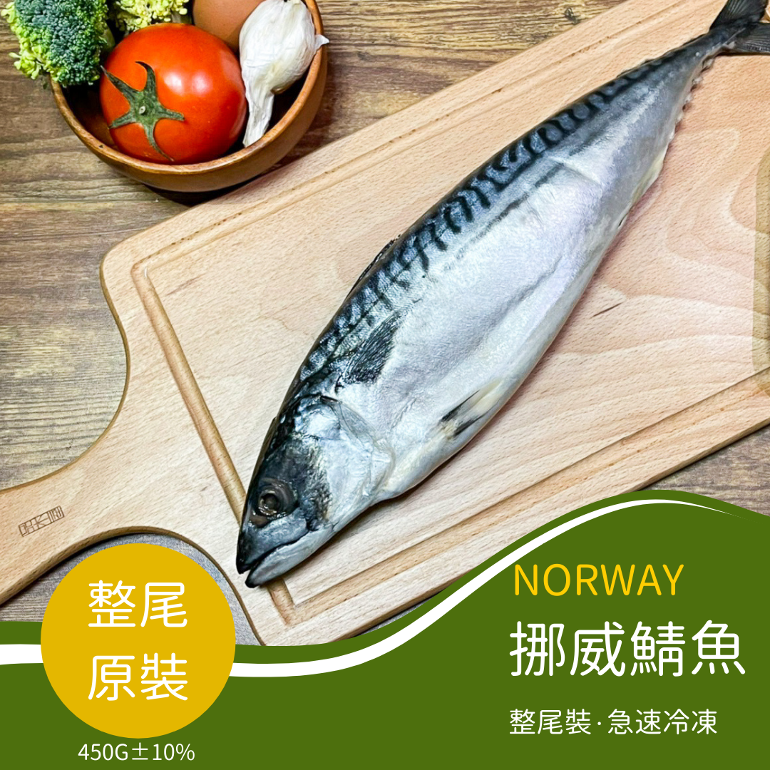 【Link Space】挪威鯖魚整尾{ 500g }