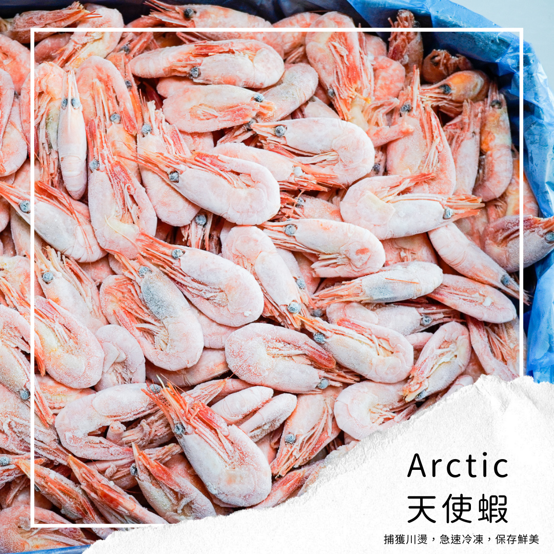 【Link Space】北極甜蝦 { 5kg、500g }