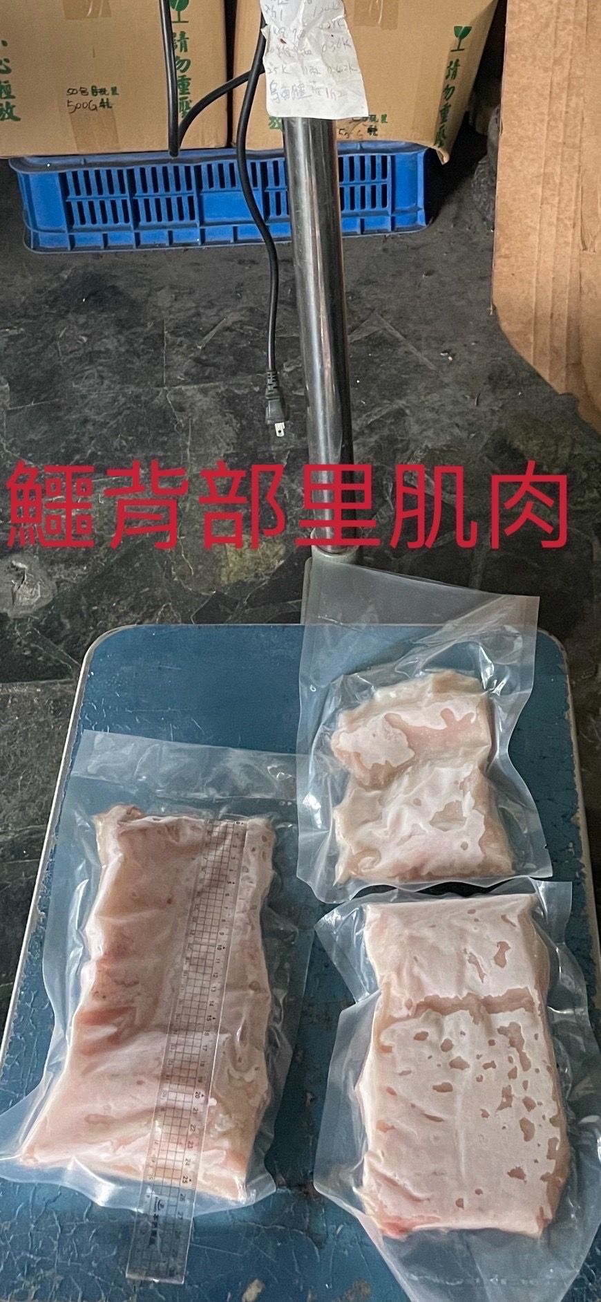 鱷魚背部里肌肉每台斤700