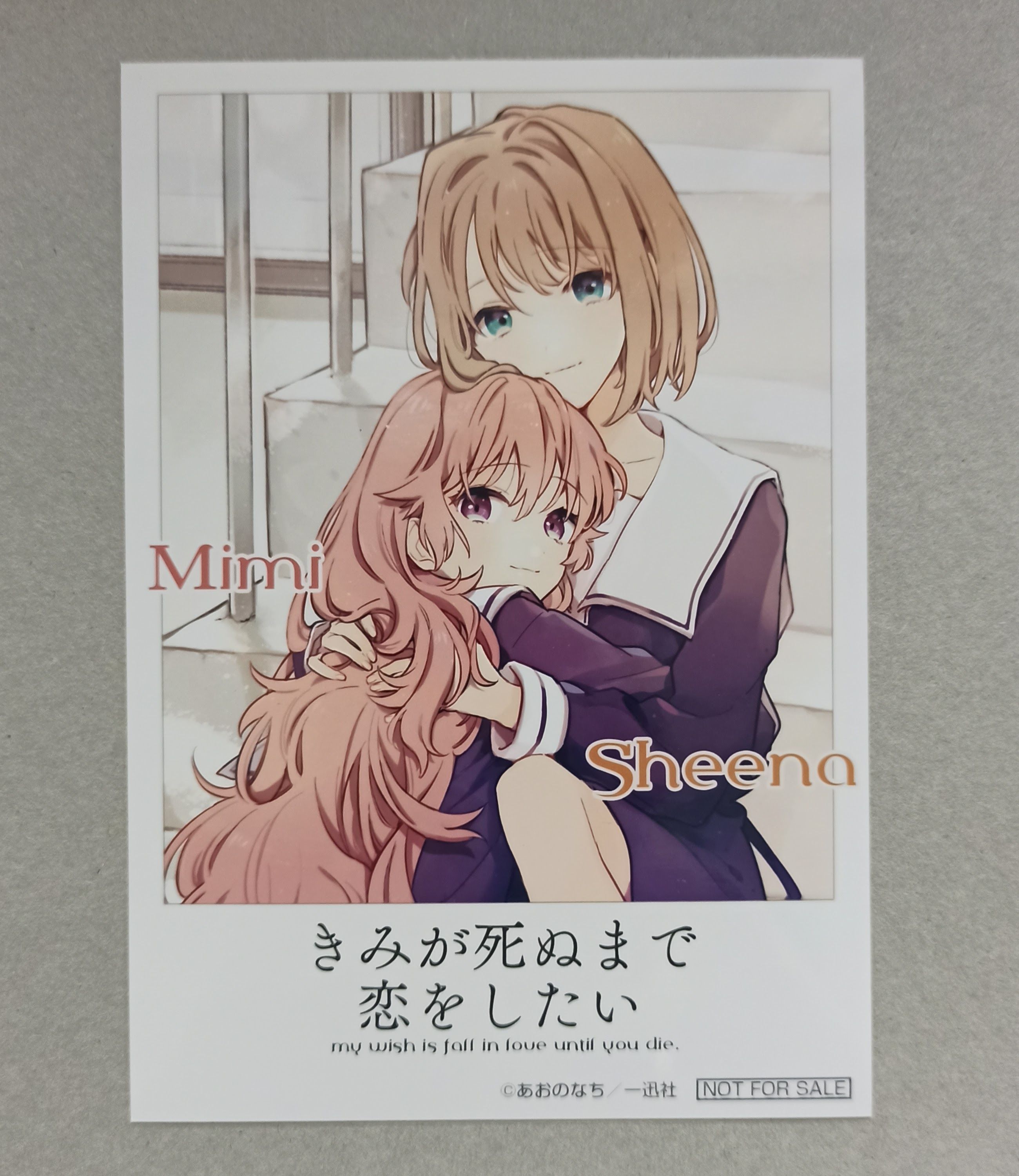 與妳相戀到生命盡頭 きみが死ぬまで恋をしたい