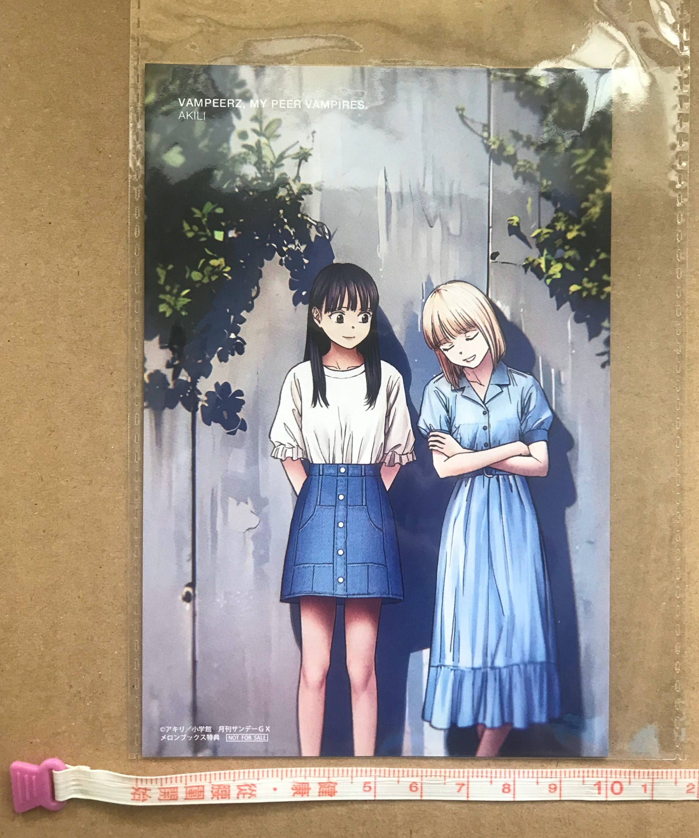 我的吸血鬼王子