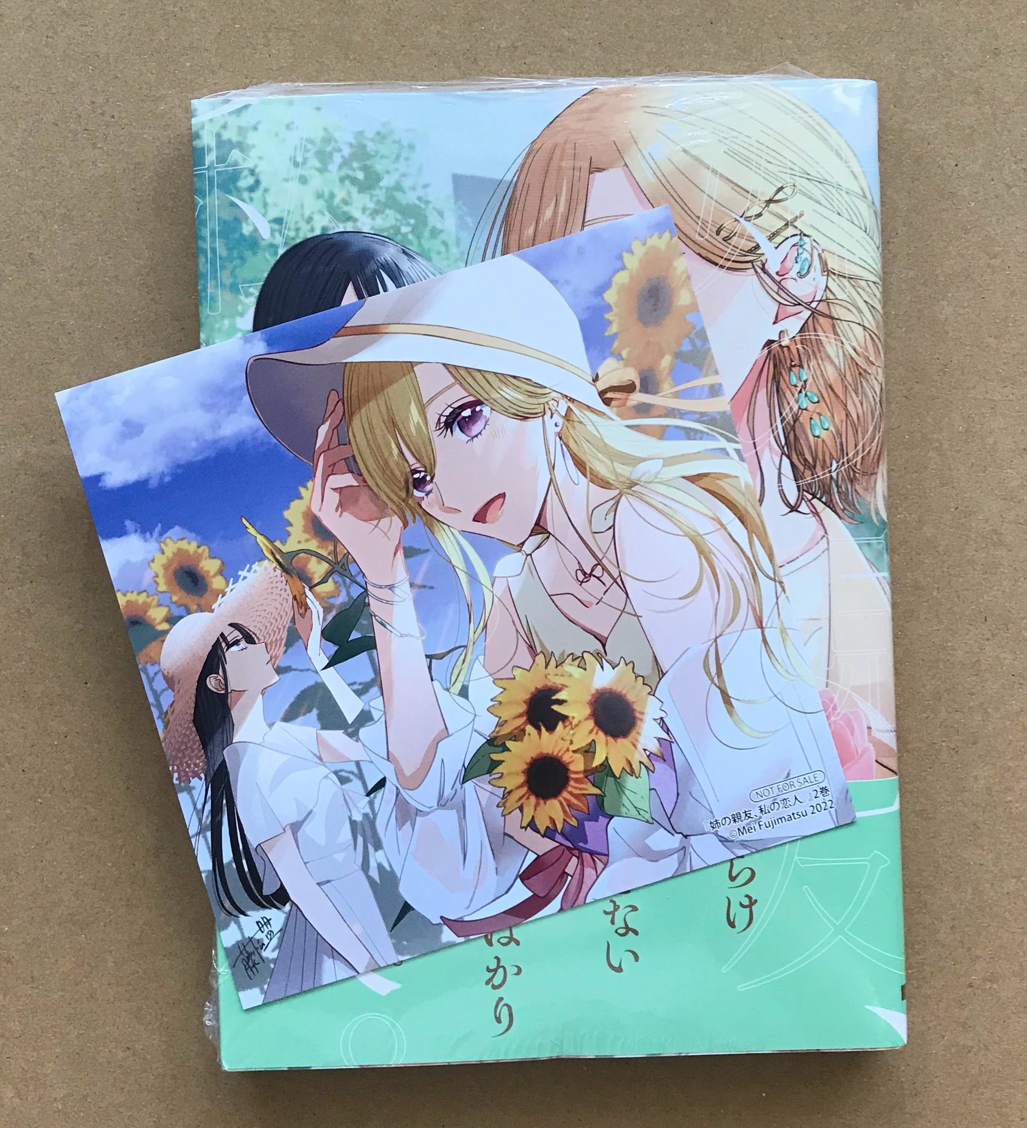 日文漫畫 姉の親友、私の恋人。