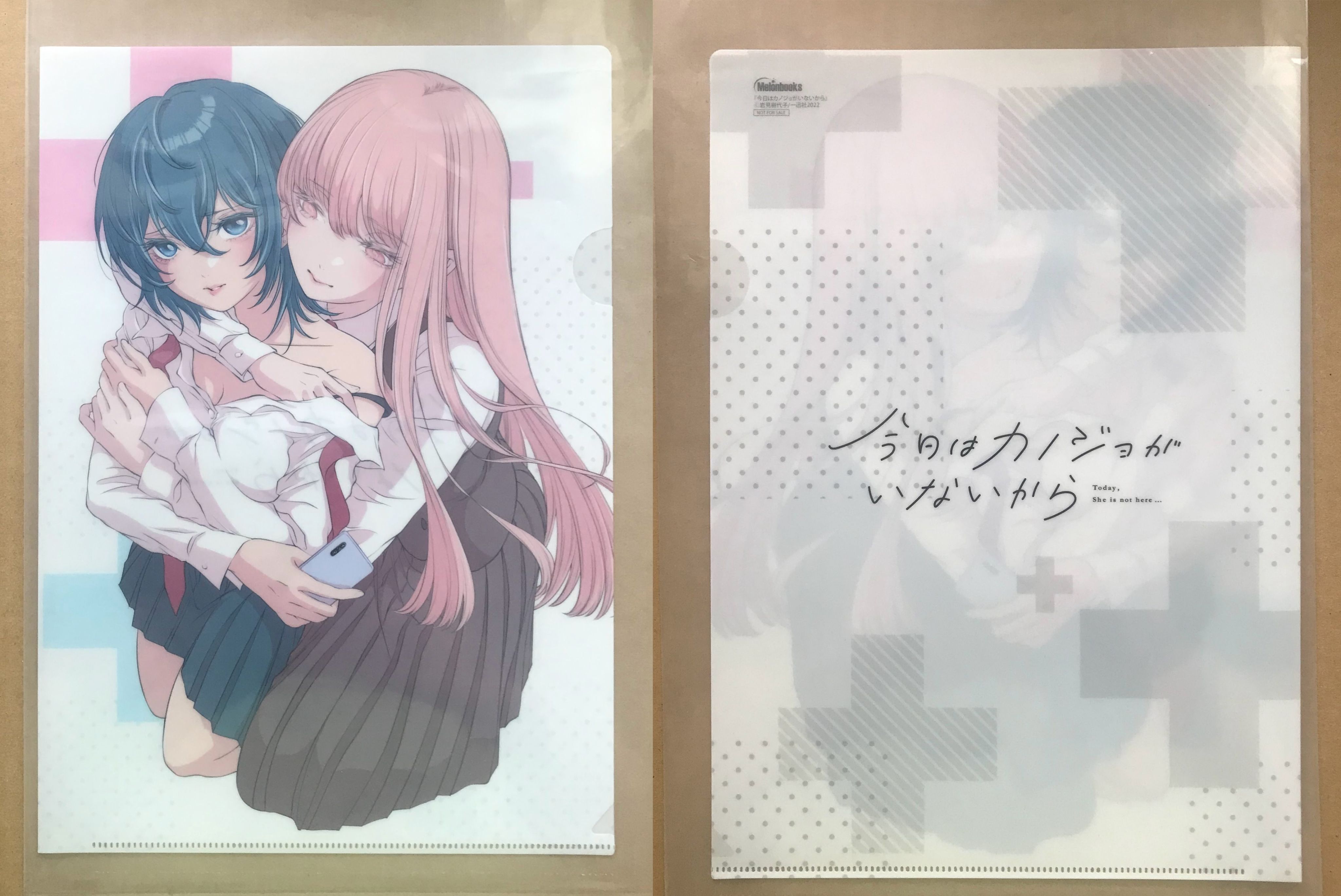 因為今天女友不在 今日はカノジョがいないから 作者：岩見樹代子