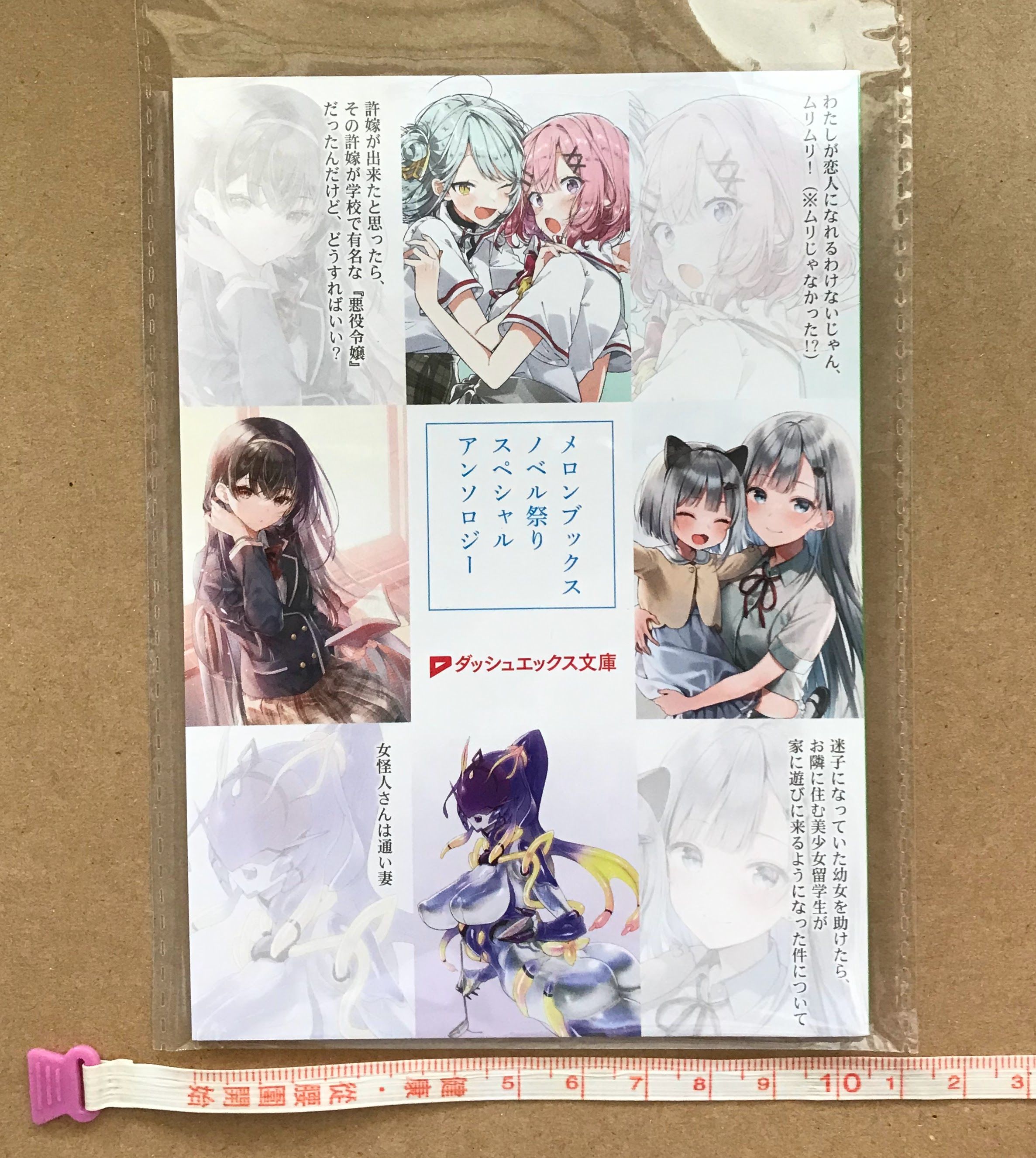 Melonbooks 11th ノベル祭り 特別選集