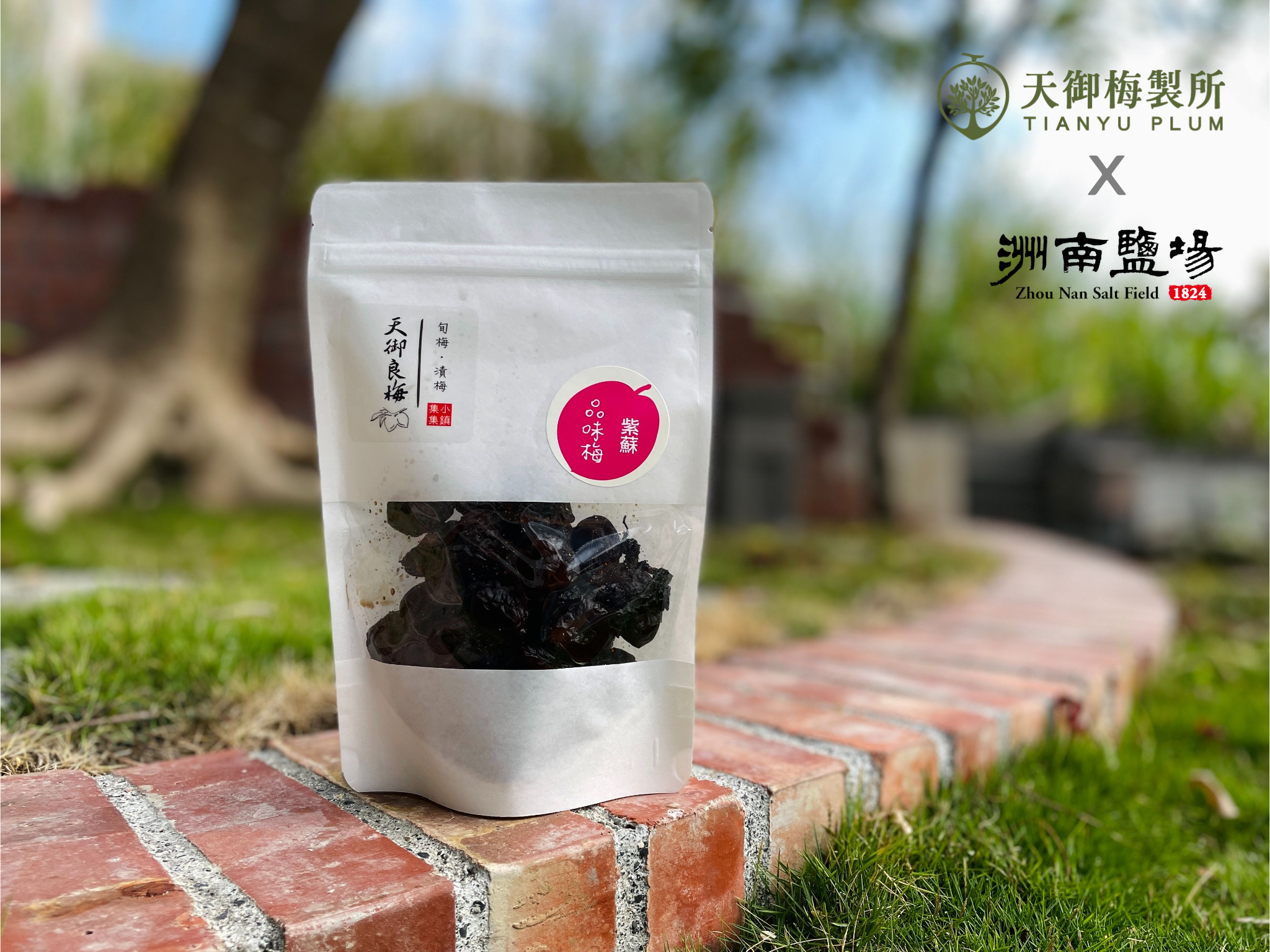 【洲南鹽場 X 天御梅製所】紫蘇梅250g