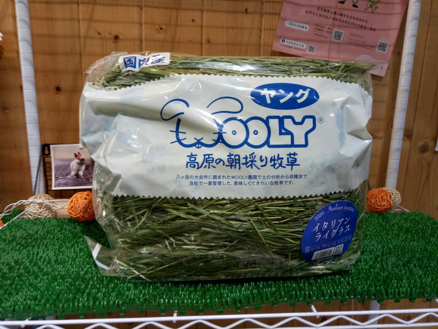 熊董兔BAR-Wooly義大利黑麥草ㄧ割 季節限定草 原裝450g