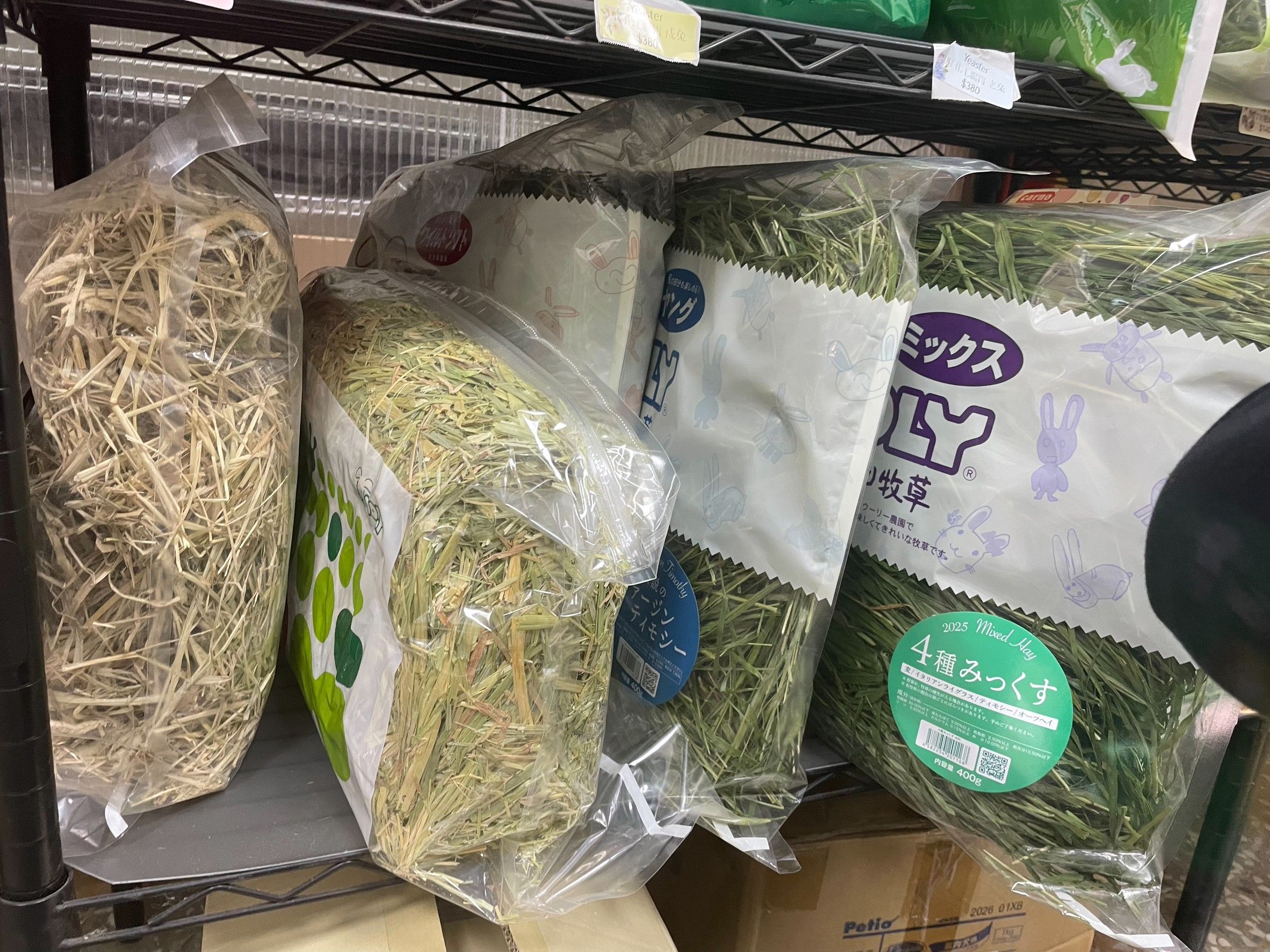 熊董兔BAR-wooly 草系列