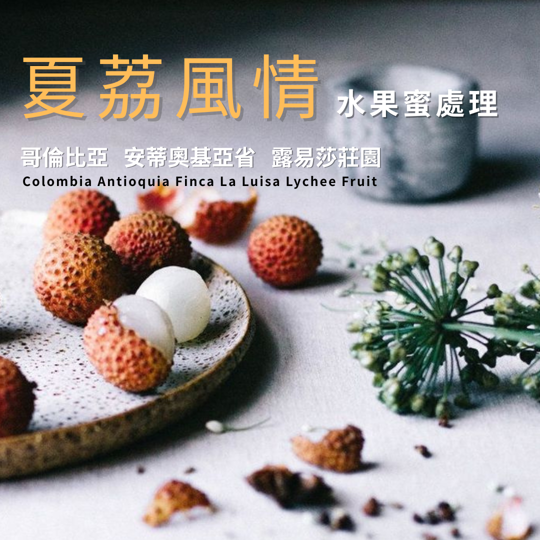 哥倫比亞 安蒂奧基亞省 露易莎莊園 夏荔風情 水果蜜處理