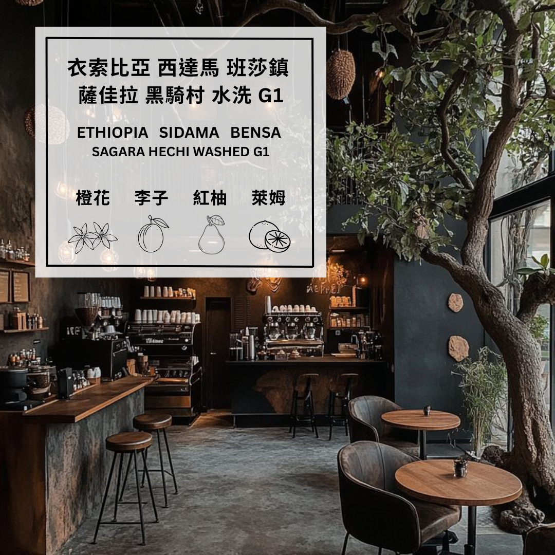 衣索比亞 西達馬 班莎鎮 薩佳拉 黑騎村 水洗 G1