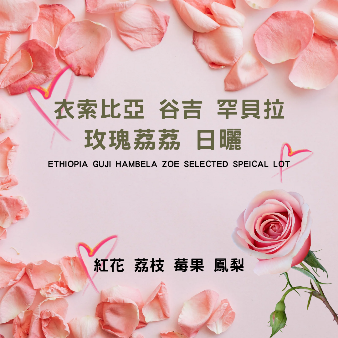衣索比亞 谷吉 罕貝拉 玫瑰荔荔 日曬