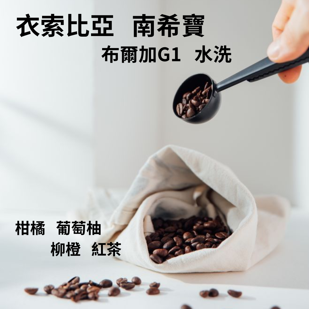衣索比亞 南希寶 布爾加 G1 水洗