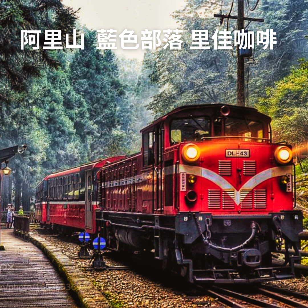 台灣 阿里山 藍色部落 里佳咖啡