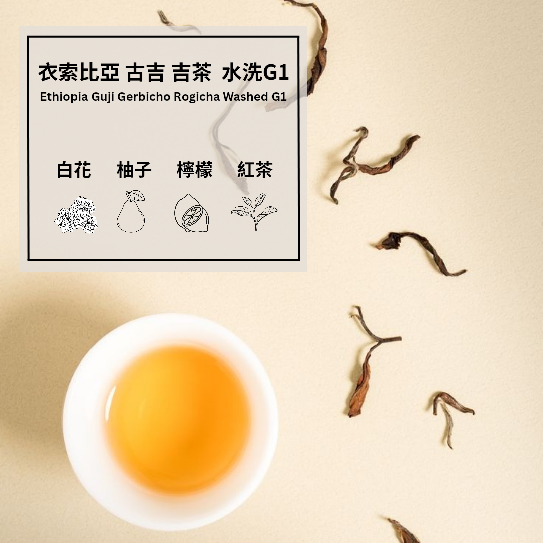 衣索比亞 古吉 吉茶 G1 水洗