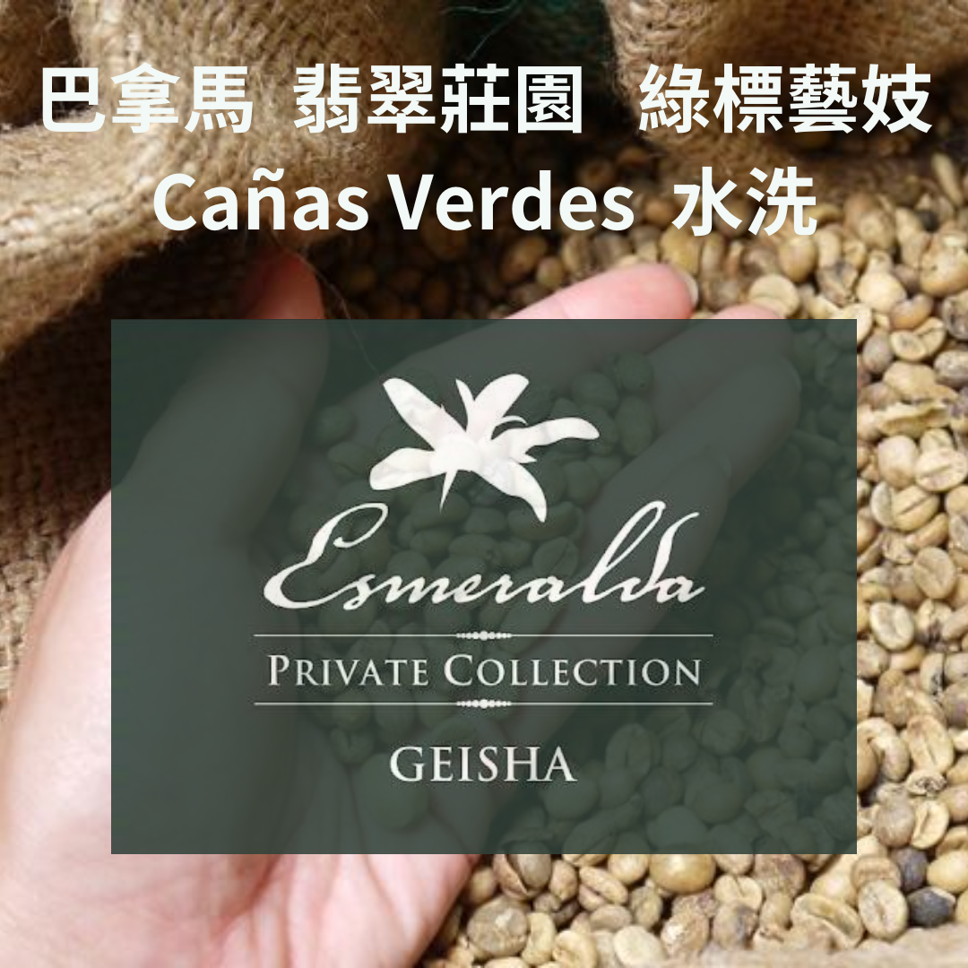 巴拿馬 翡翠莊園 綠標藝妓  Cañas Verdes水洗
