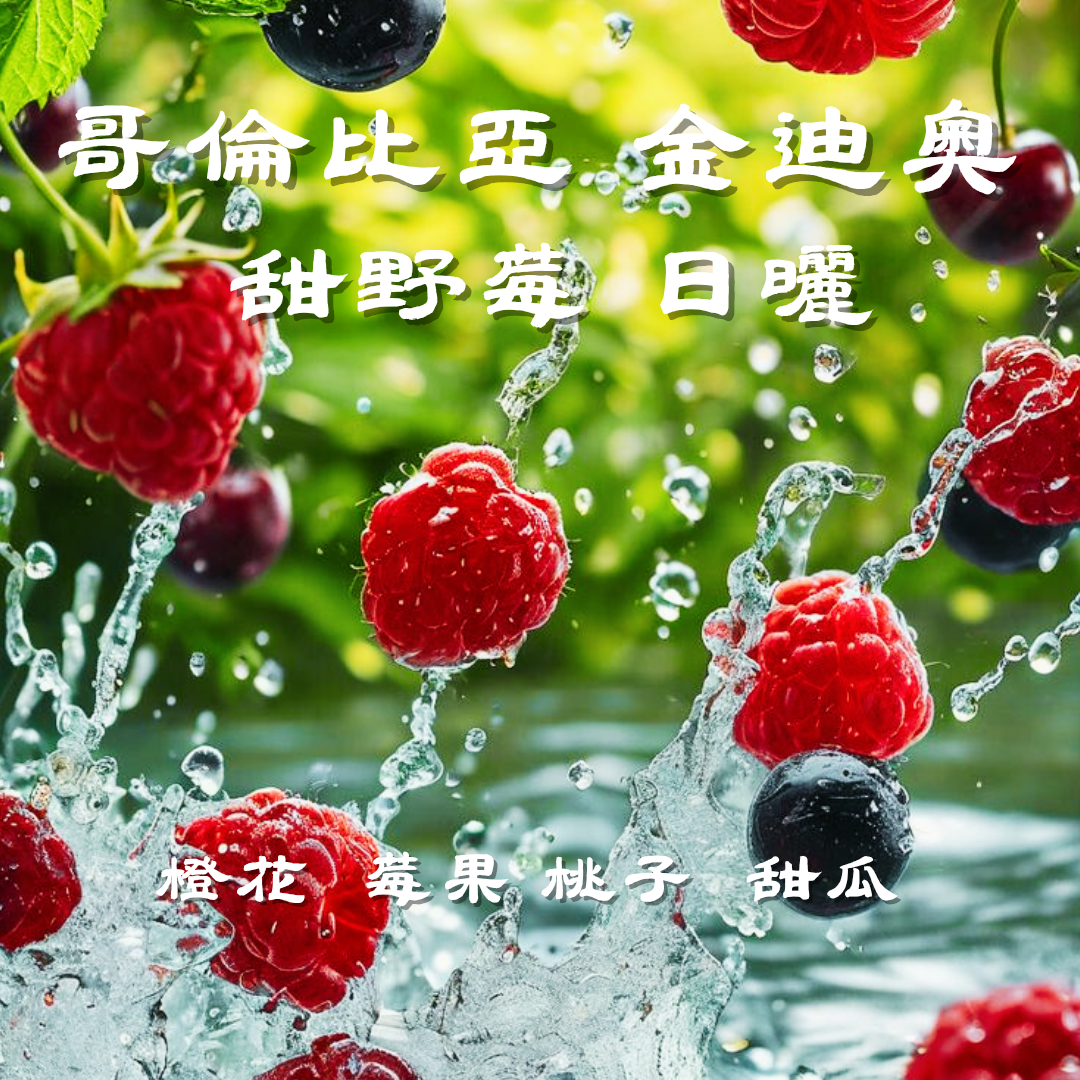 哥倫比亞 金迪奧 甜野莓 日曬