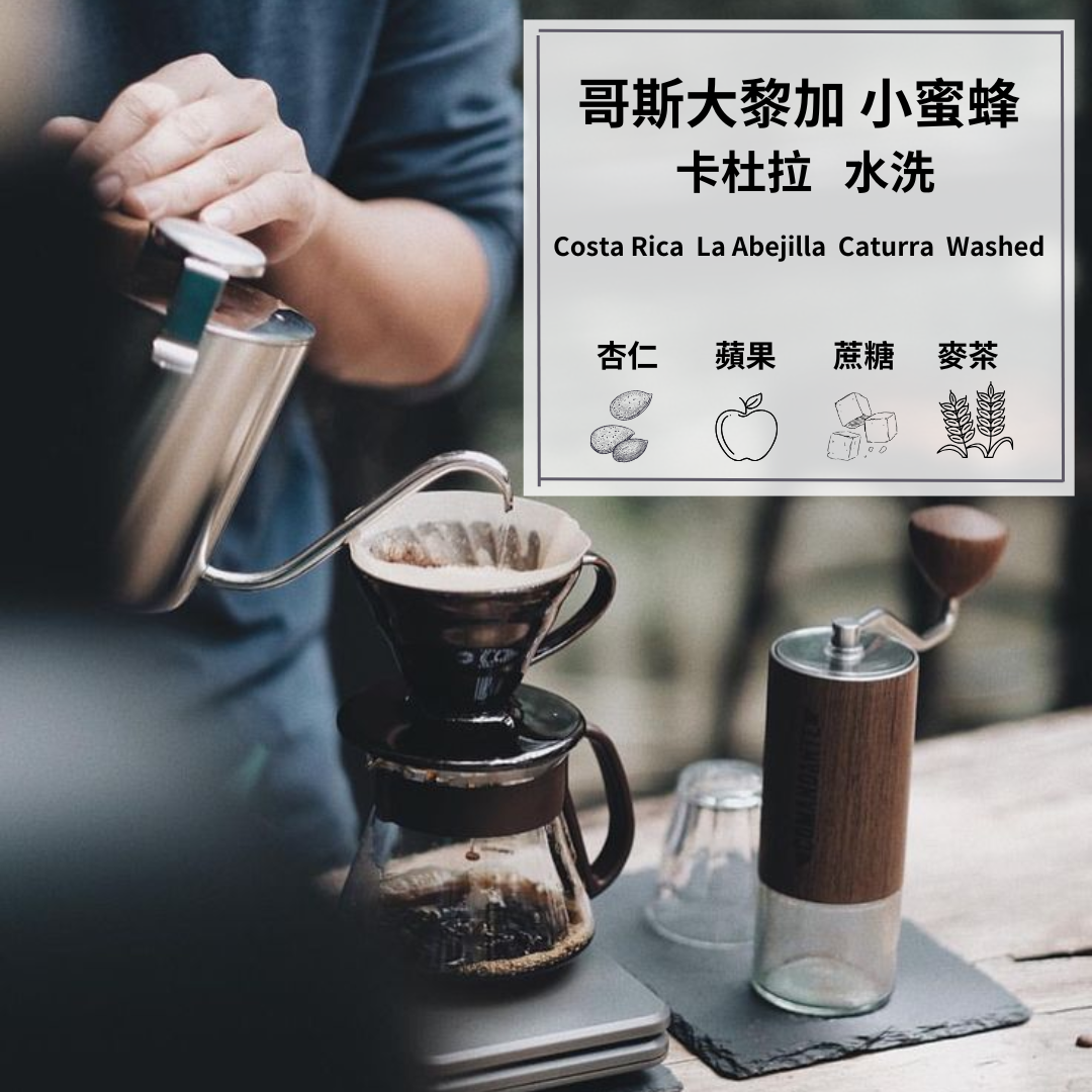 哥斯大黎加 小蜜蜂 卡杜拉 水洗/中焙