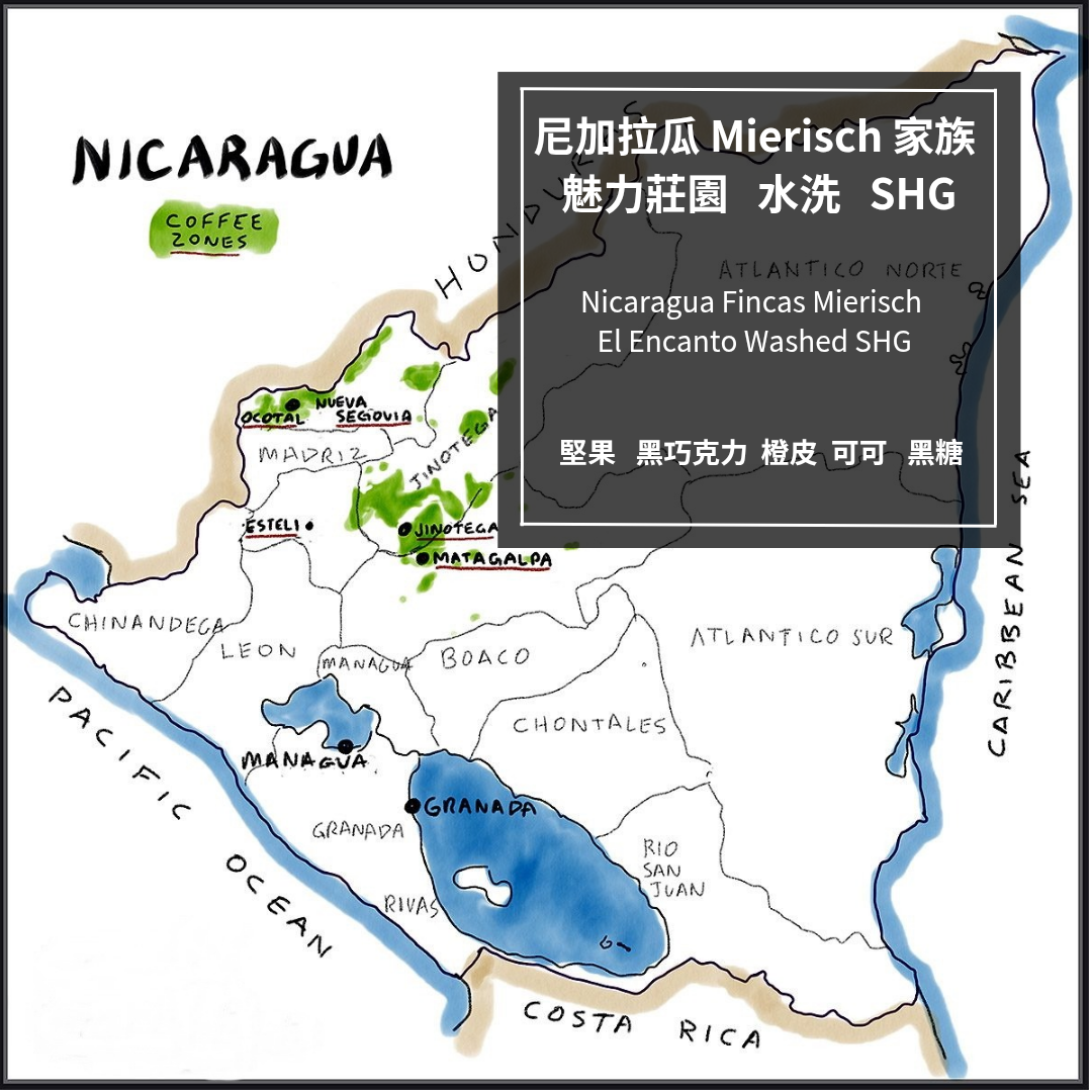 尼加拉瓜 Mierisch家族 魅力莊園 水洗 SHG/中焙