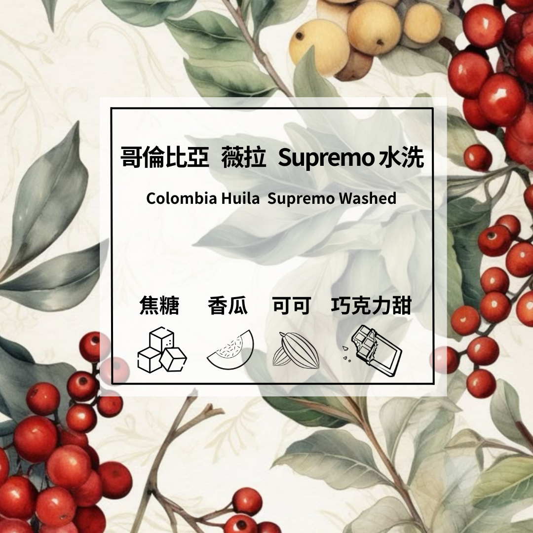 哥倫比亞 薇拉 Supremo 水洗/中焙