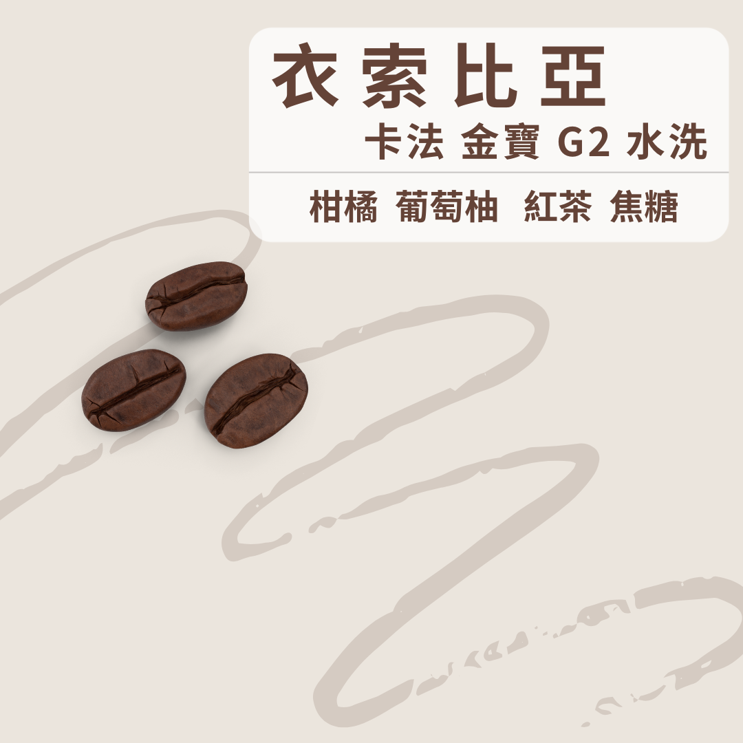 衣索比亞 卡法 金寶G2 水洗