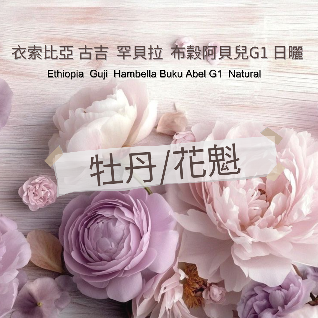 衣索比亞 古吉 罕貝拉 布穀阿貝兒G1 日曬