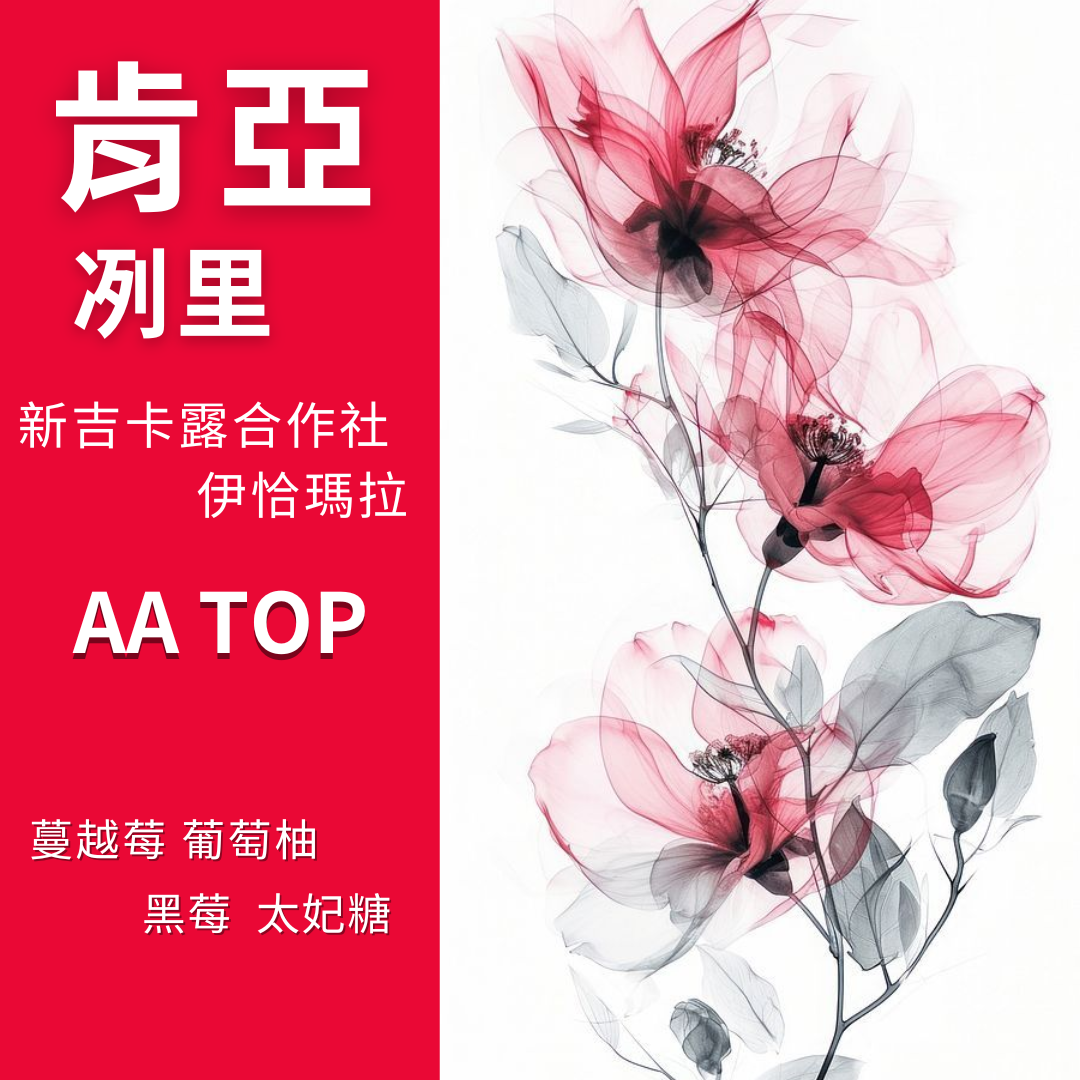 肯亞 冽里 新吉卡露合作社 伊恰瑪拉 AA TOP