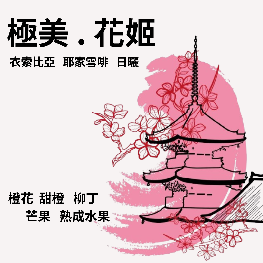 極美.花姬 衣索比亞 耶加雪菲 日曬