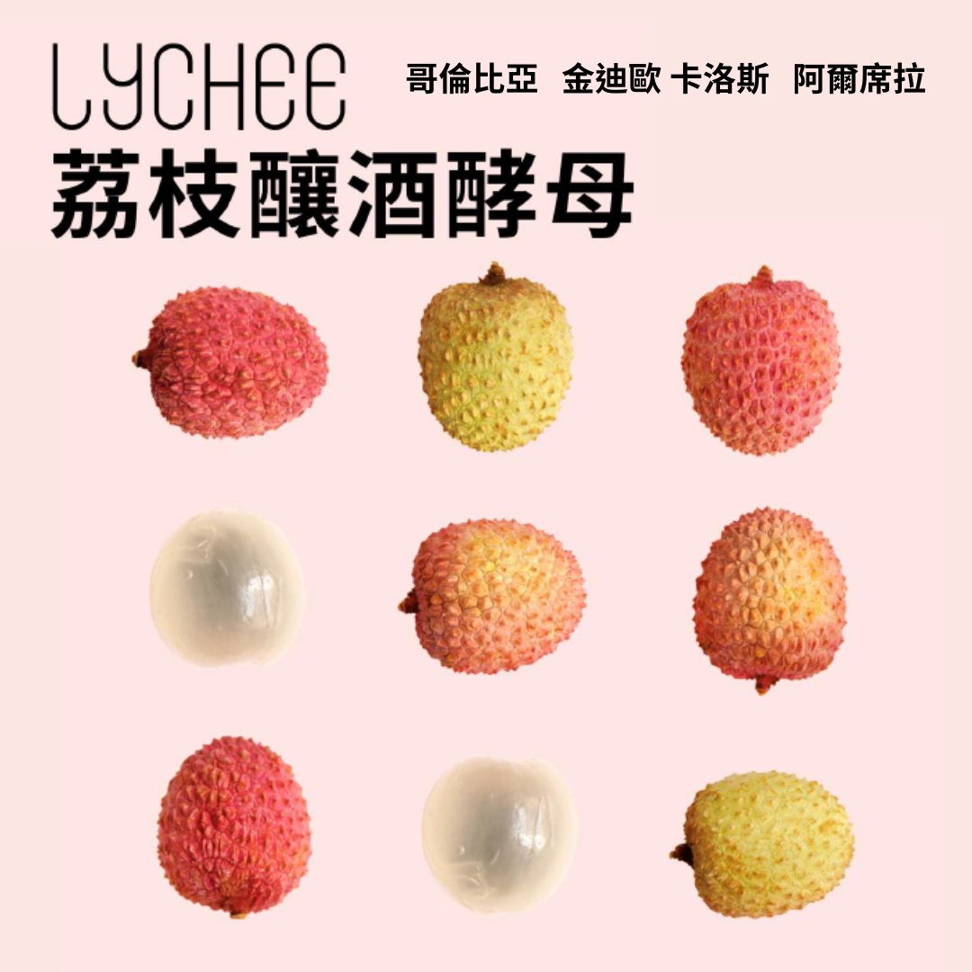 哥倫比亞 金迪歐 卡洛斯·阿爾席拉 荔枝釀酒酵母 蜜處理