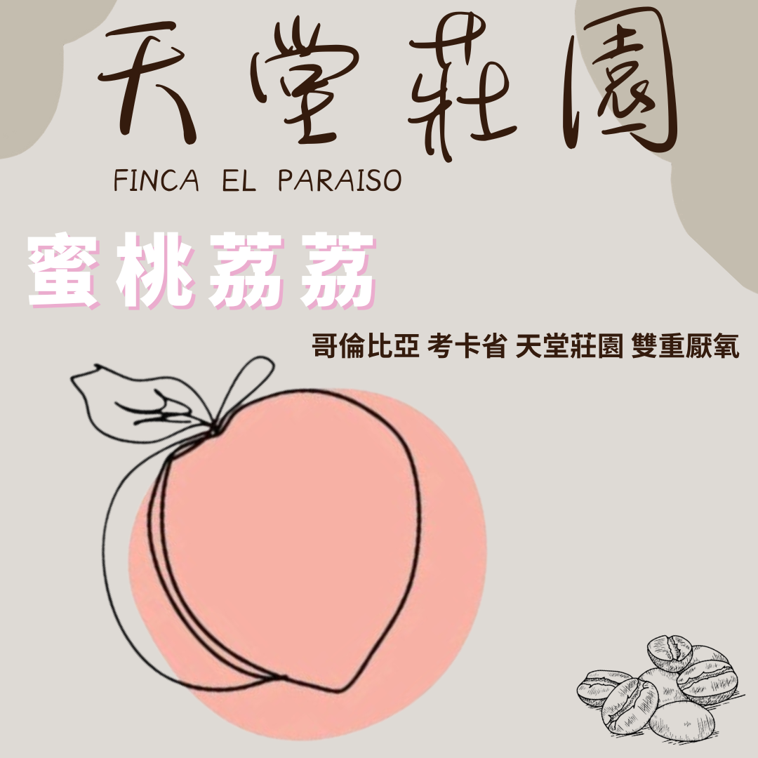 哥倫比亞 考卡省 天堂莊園 蜜桃荔荔 雙重厭氧