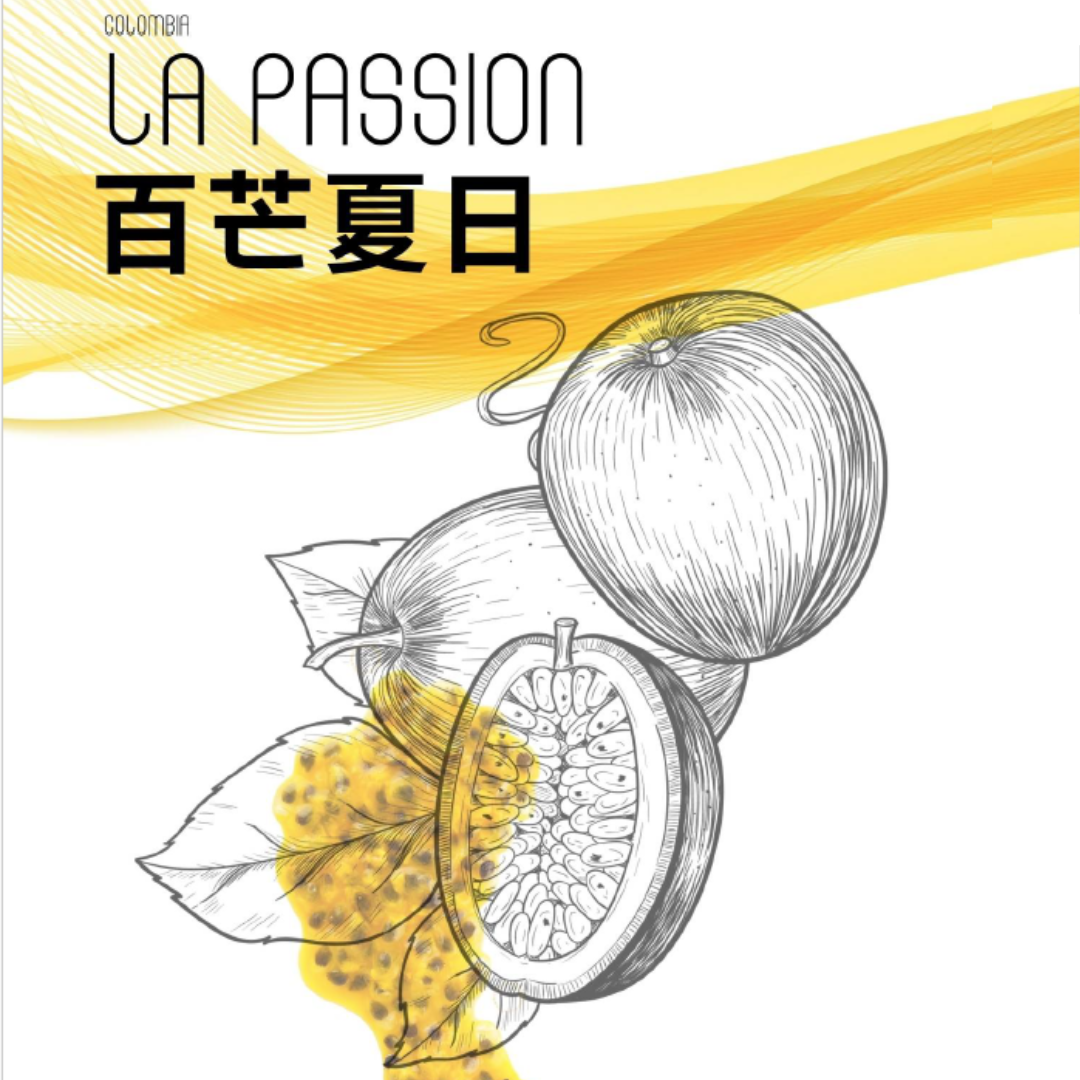 哥倫比亞 金迪歐 百芒夏日 熱帶水果酵母 水洗