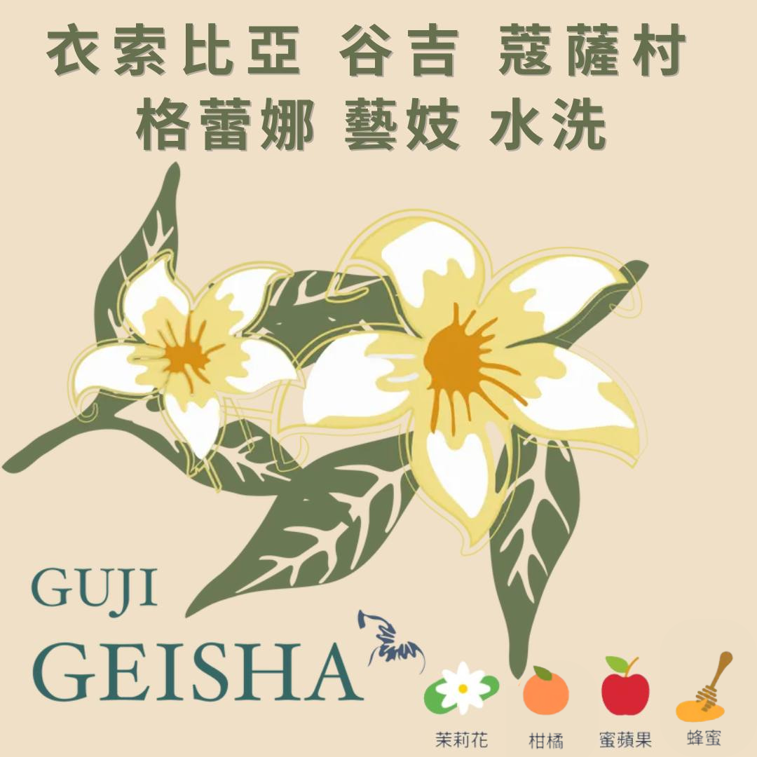 衣索比亞 古吉 蔻薩村 格蕾娜藝伎