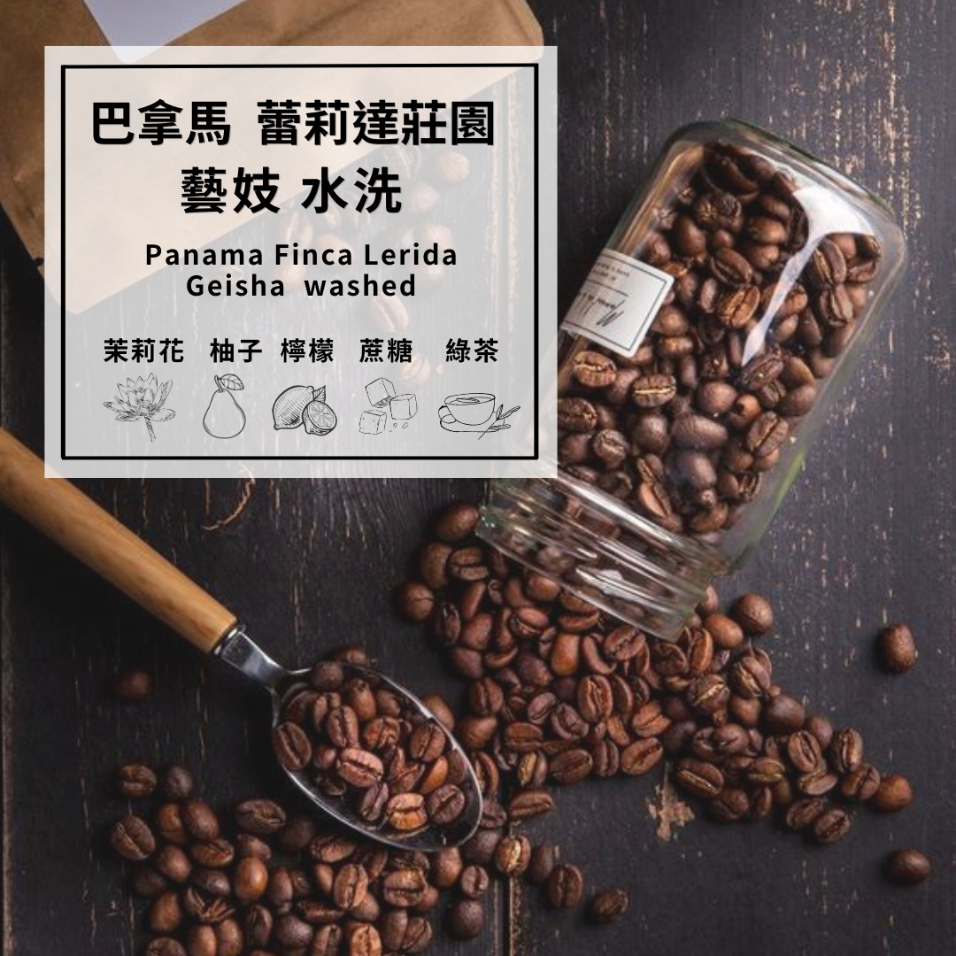 巴拿馬  蕾莉達莊園 藝妓 水洗