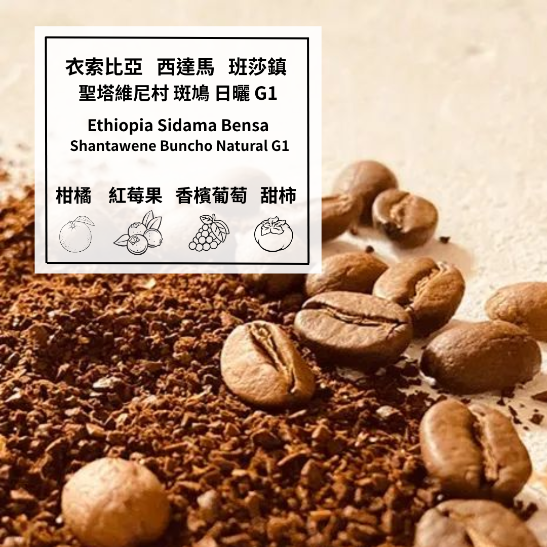 衣索比亞 西達馬 班莎鎮 聖塔維尼村 斑鳩處理廠 日曬 G1