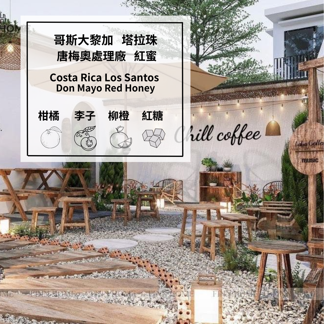 哥斯大黎加 塔拉珠 唐梅奧處理廠 紅蜜