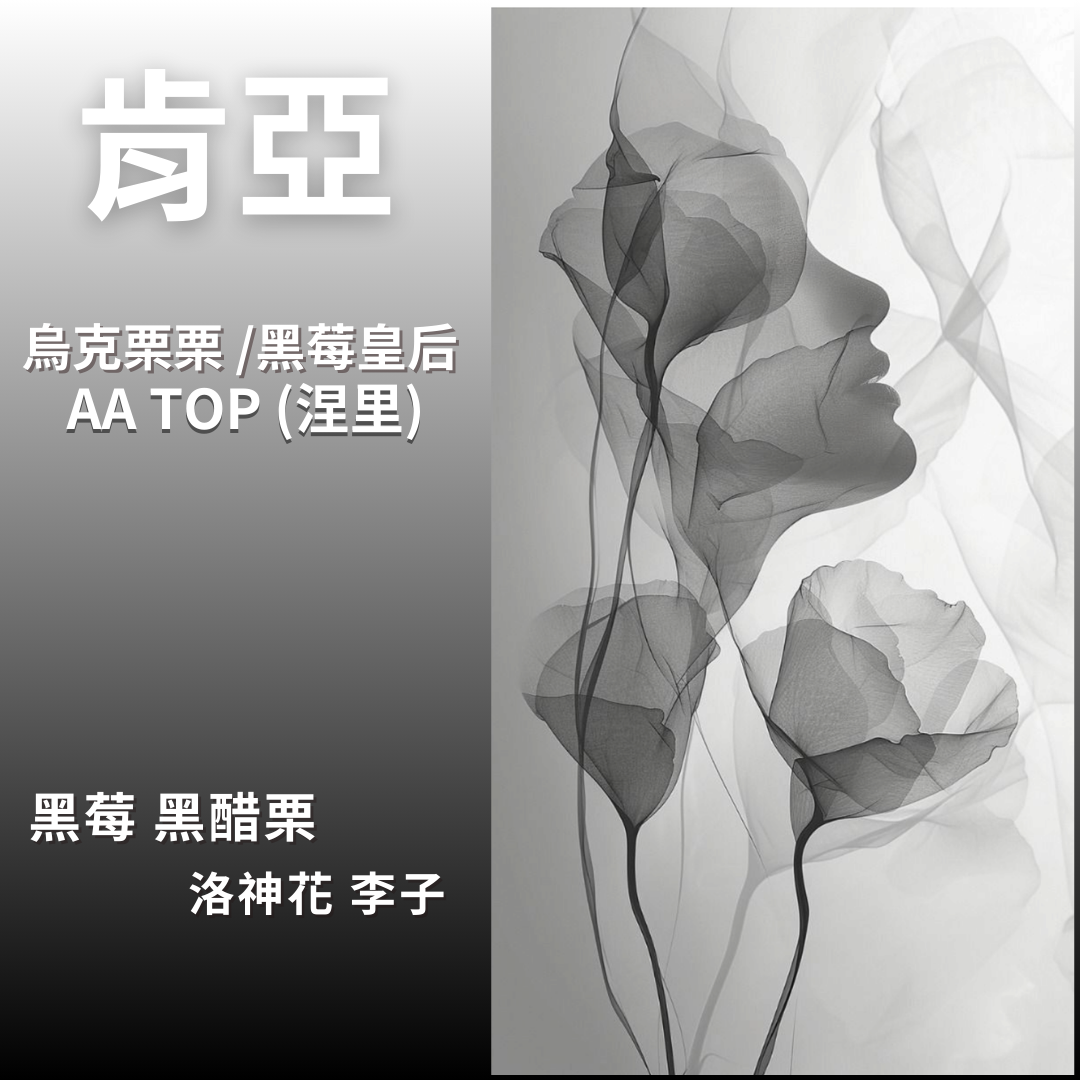 肯亞 烏克栗栗/黑莓皇后 AATOP（涅里）