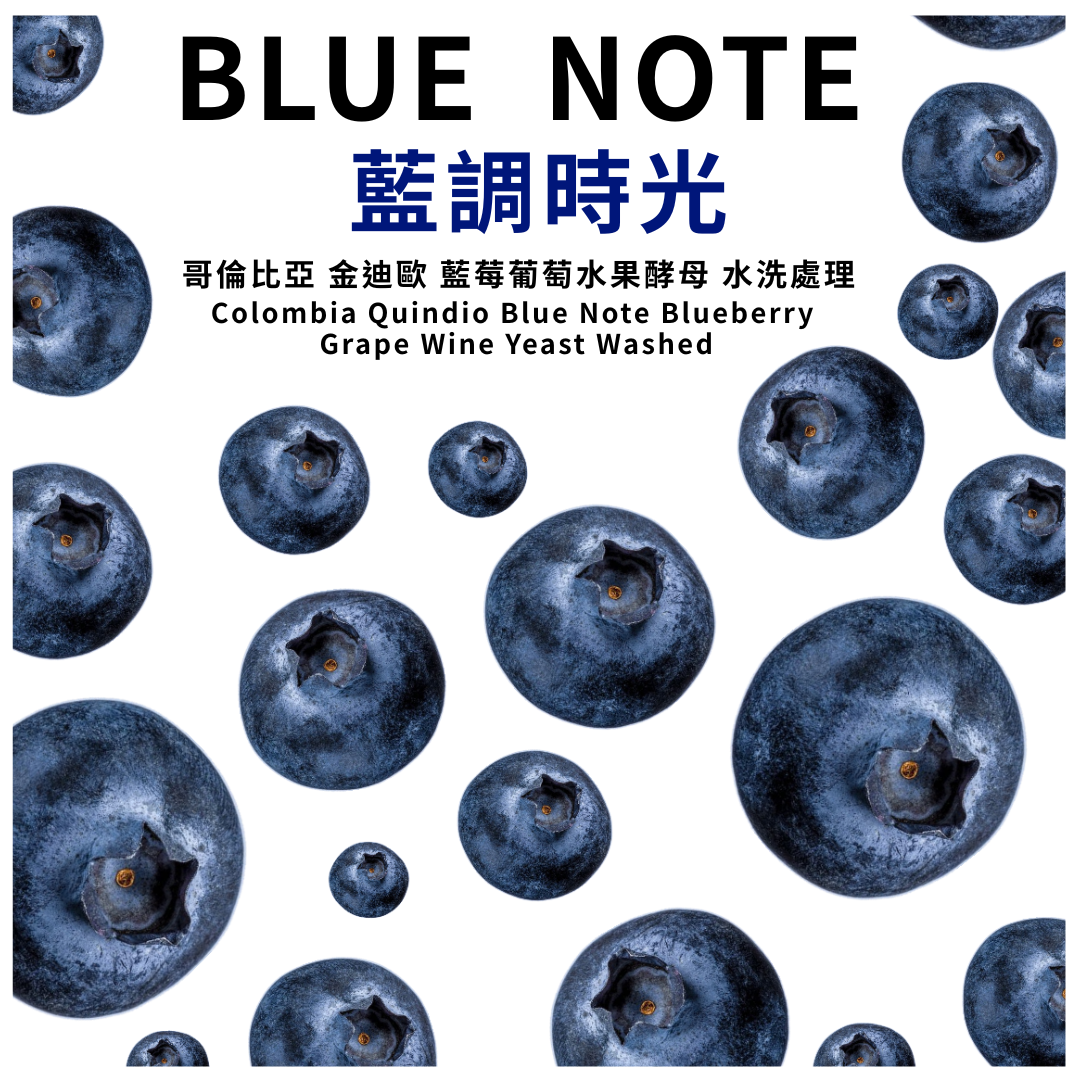 哥倫比亞 金迪歐 藍調時光 藍莓葡萄水果酵母 水洗