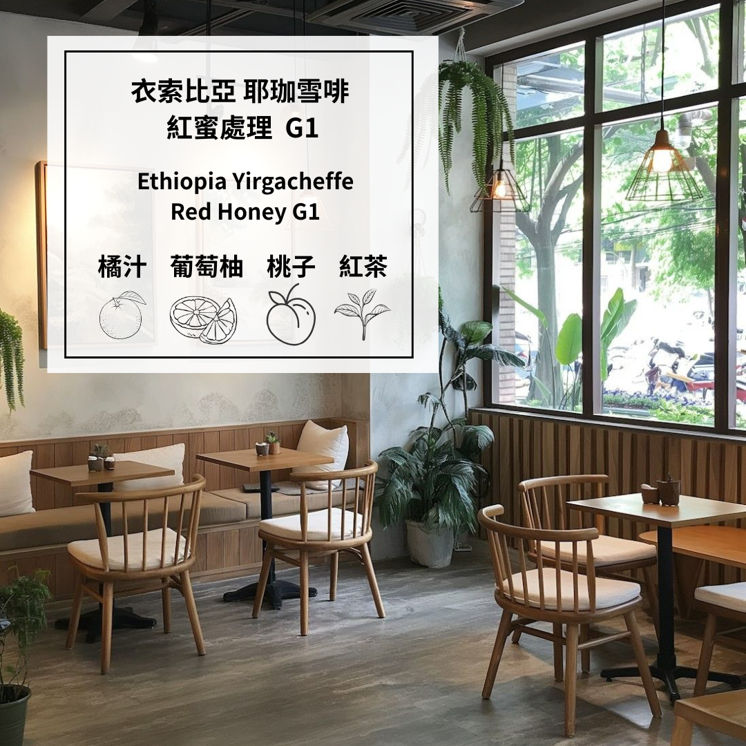 衣索比亞 耶珈雪啡 紅蜜處理 G1