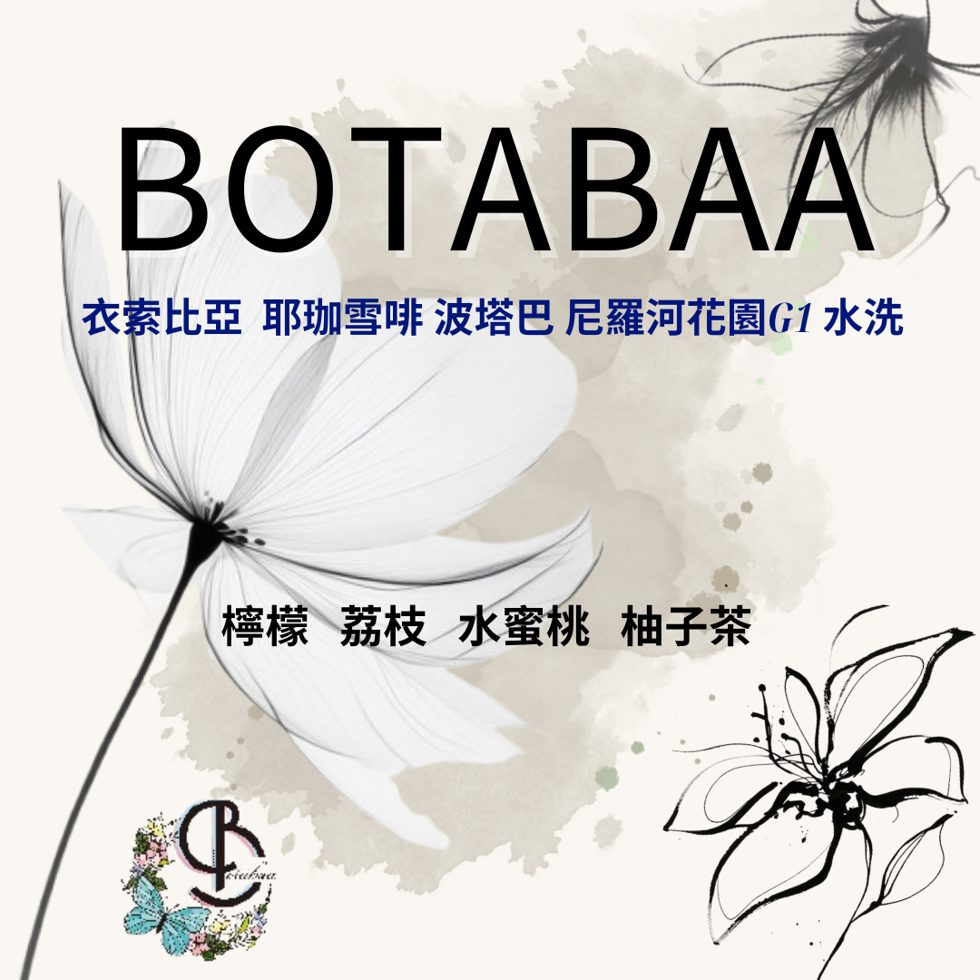 衣索比亞 耶珈雪啡 波塔巴/尼羅河花園 G1 水洗