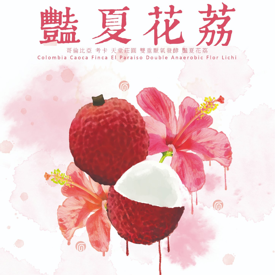 艷夏花荔 哥倫比亞 考卡省 天堂莊園 雙重厭氧