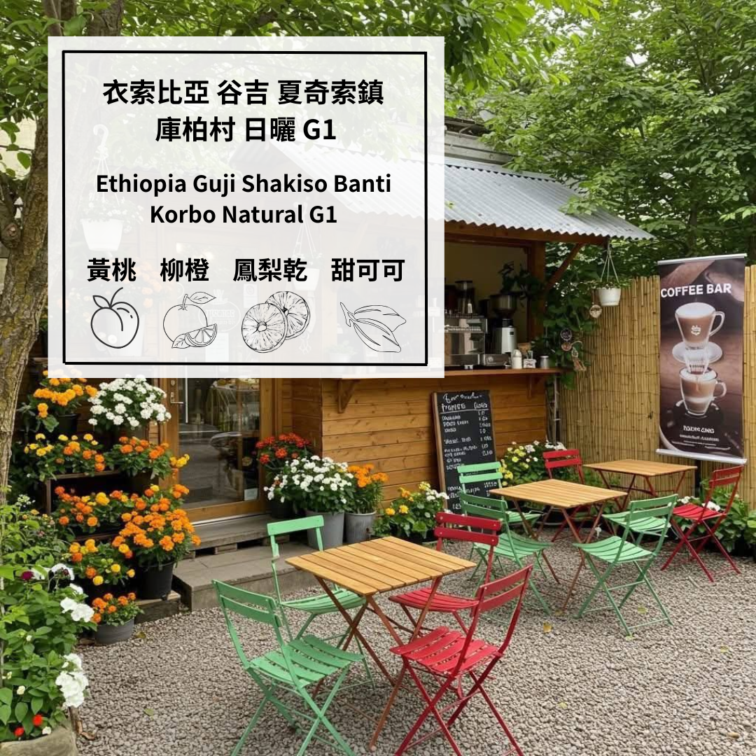 衣索比亞 谷吉 夏奇索 庫柏村 日曬 G1