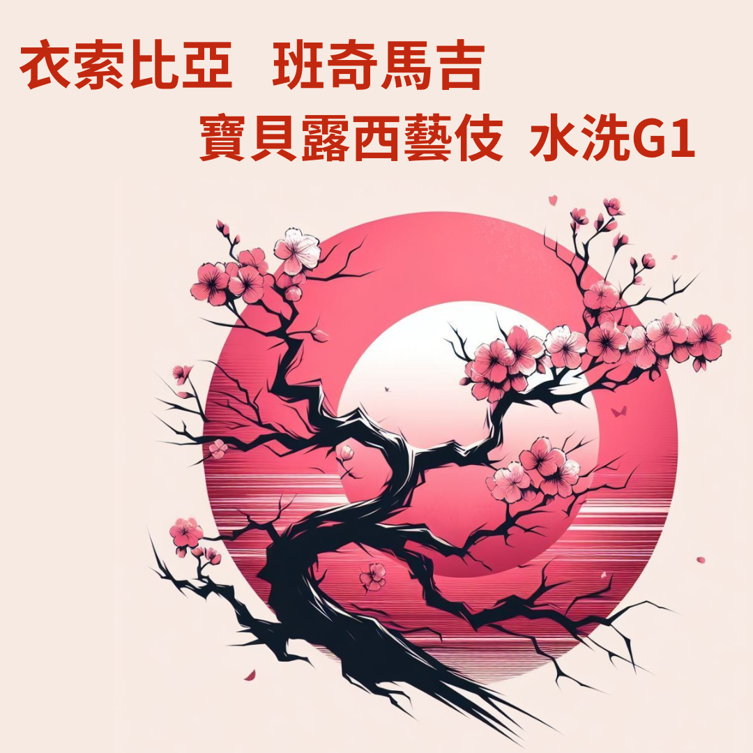 衣索比亞 班奇馬吉 寶貝露西藝伎 水洗G1