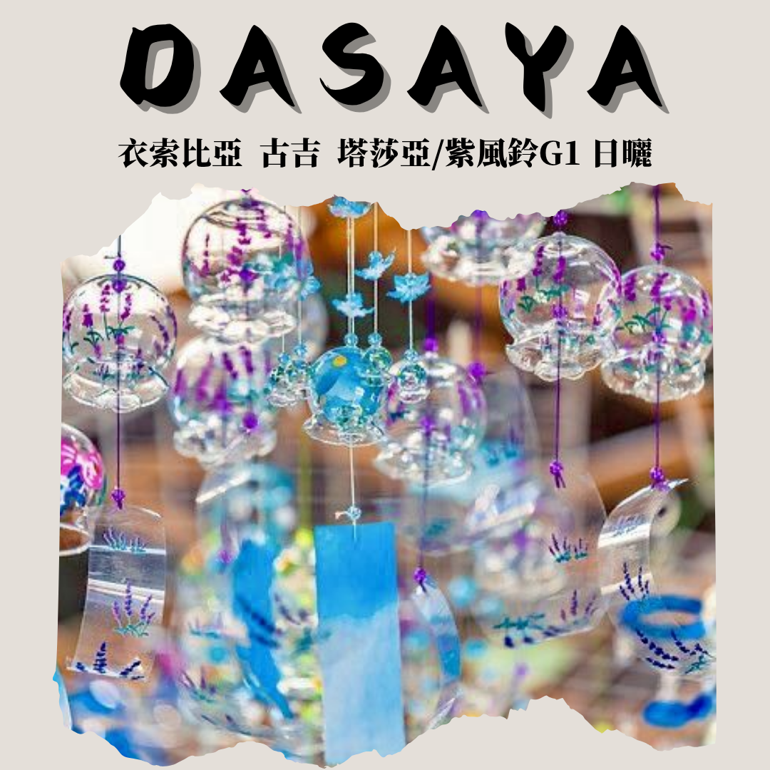 衣索比亞  古吉 塔莎亞/紫風鈴G1 日曬