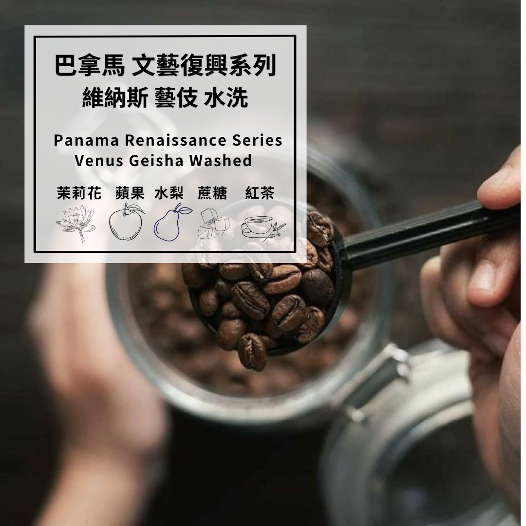 巴拿馬 文藝復興系列 維納斯藝伎 水洗