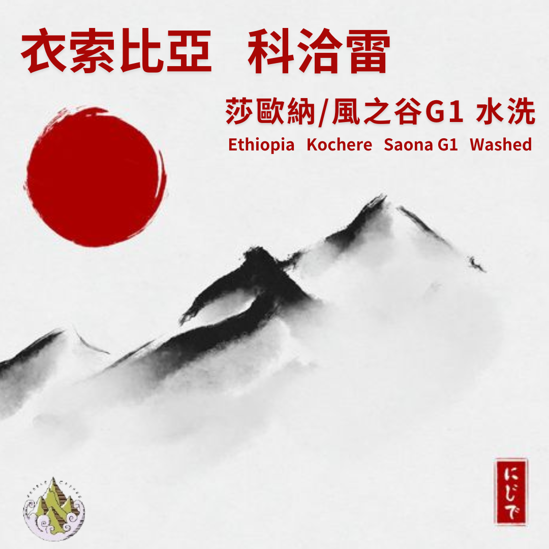 衣索比亞 科洽雷 莎歐納/風之谷 G1 水洗