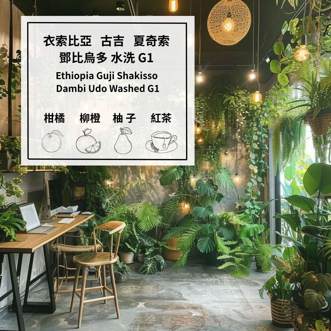 衣索比亞 古吉 夏奇索 鄧比烏多 水洗 G1