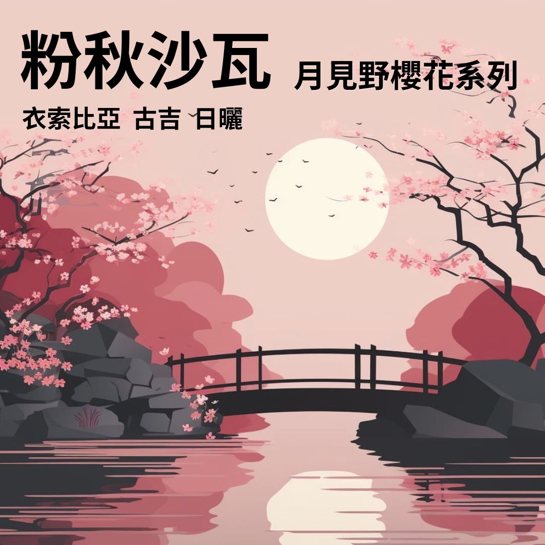 粉秋沙瓦 月見野櫻花系列 衣索比亞 古吉 日曬