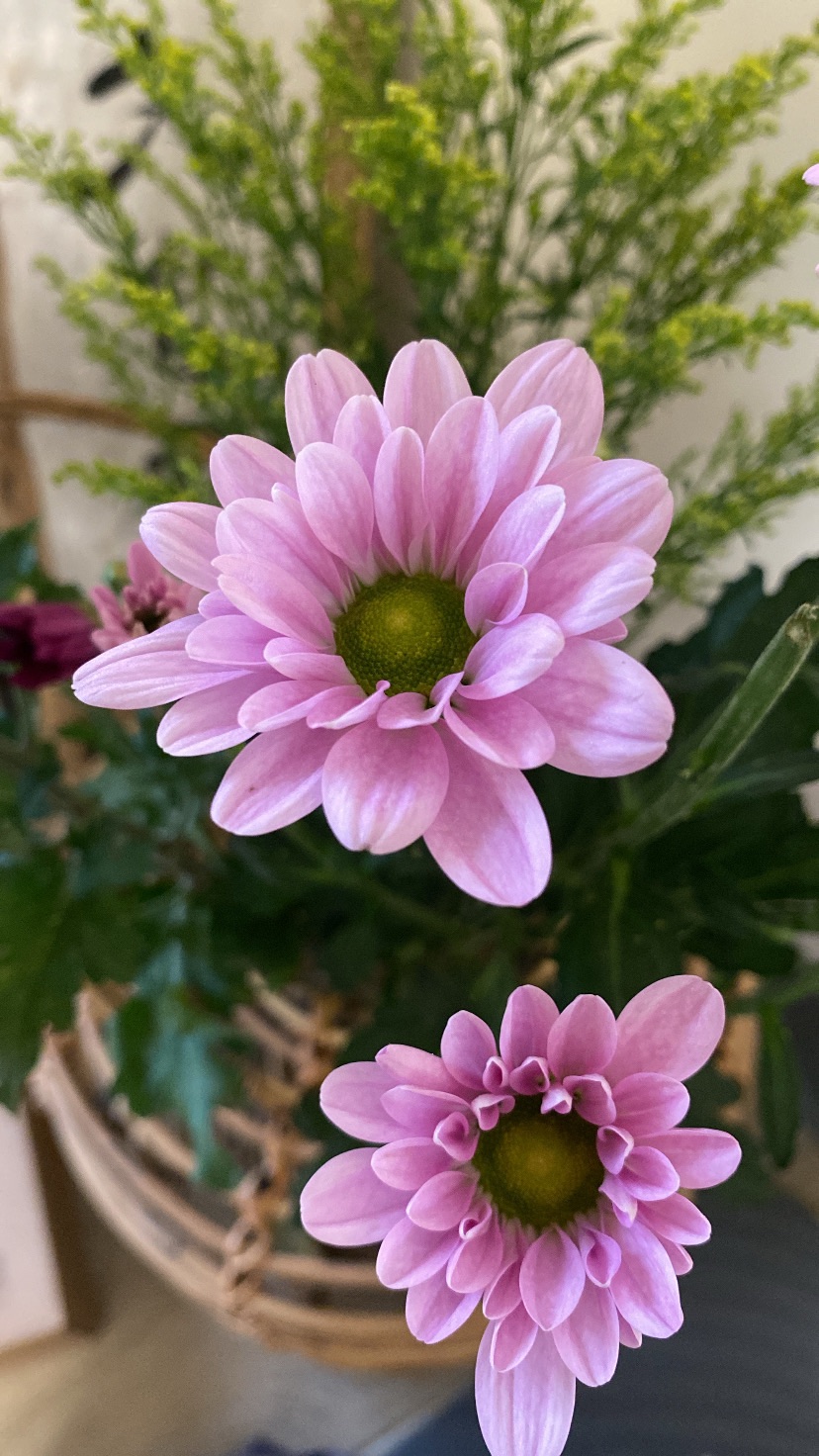 母乳皂訂製（預購）