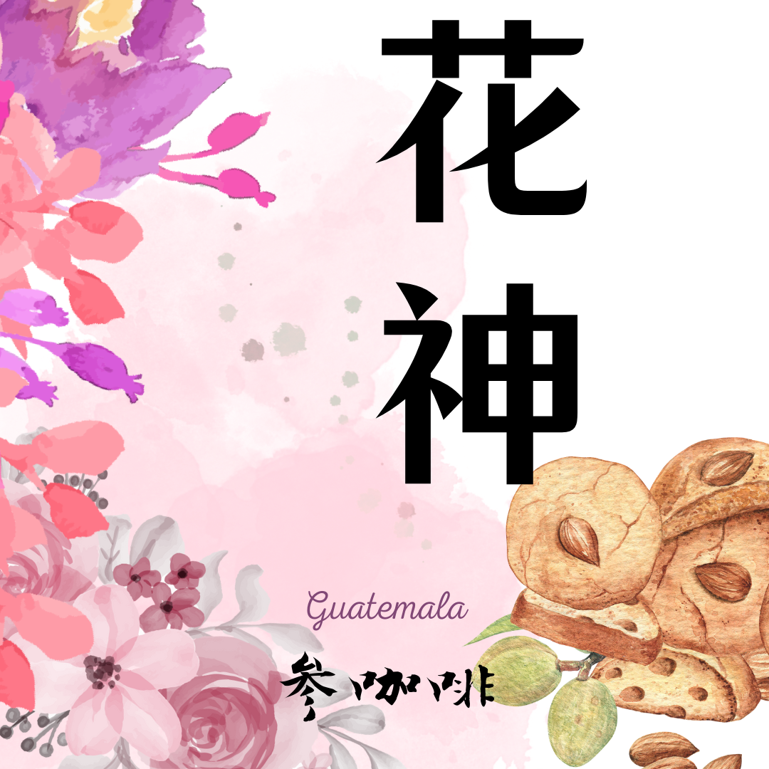參咖啡 中焙豆 拉米妮塔 「花神」咖啡豆（可代磨粉）/耳掛包